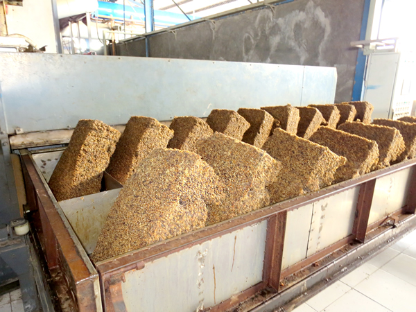 燃棕櫚殼燃煤熱風爐（印尼橡膠烘干）