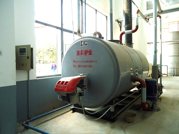 臥式燃?xì)獬簾崴仩t